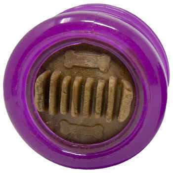 Starmark Everlasting Treat Groovy Ball