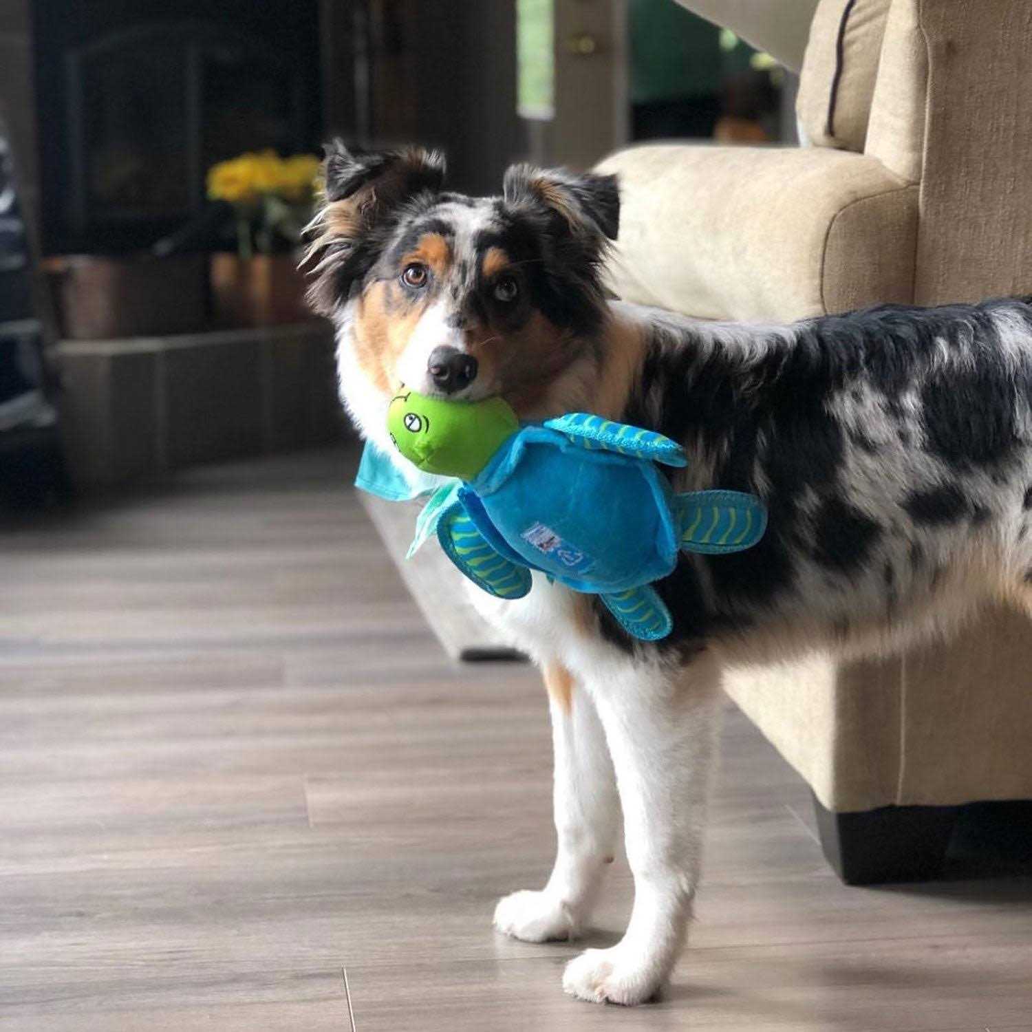 Spunky Pup Clean Earth Plush Turtle Dog Toy