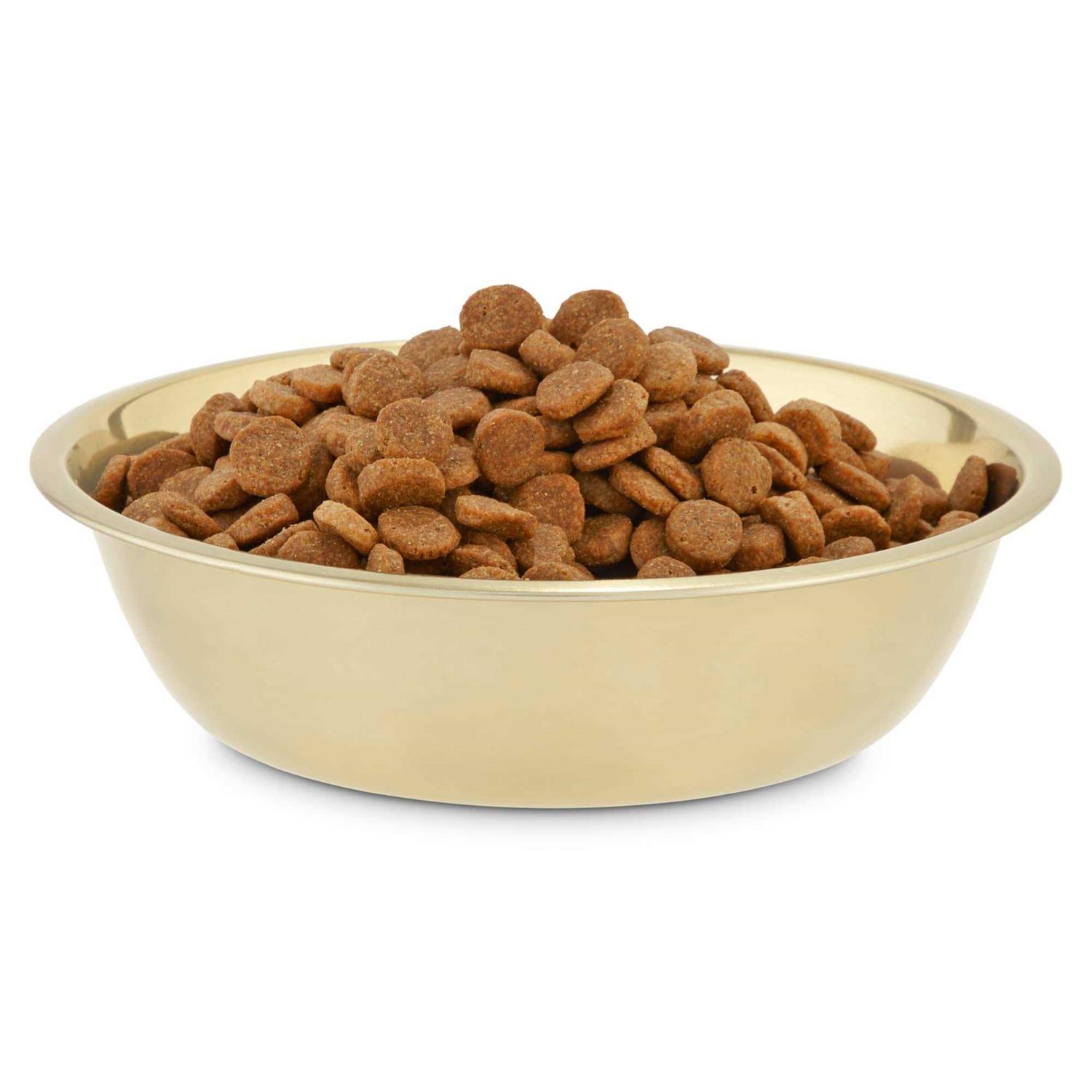 EveryYay Dining in Gold Stainless Steel Dog Bowl