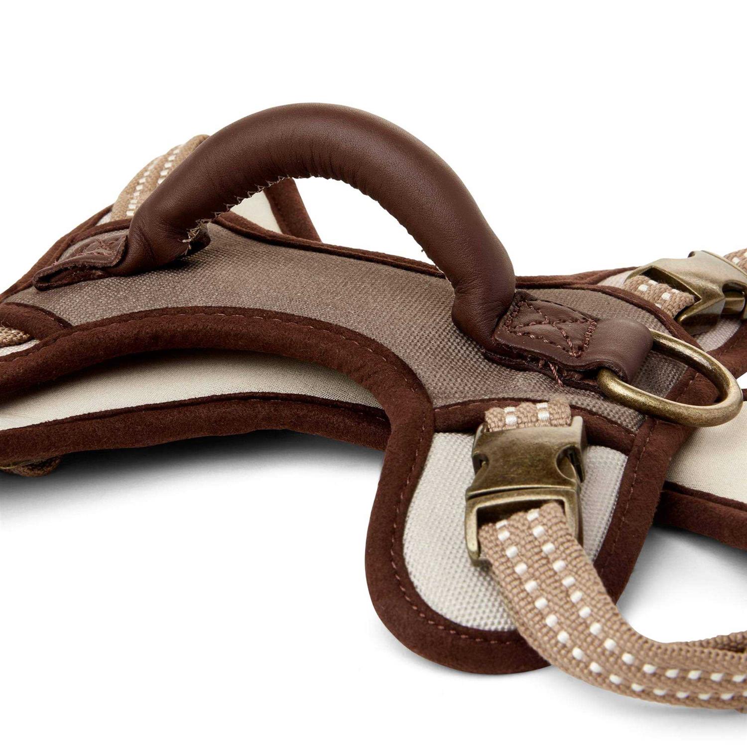 Reddy Canvas Dog Harness