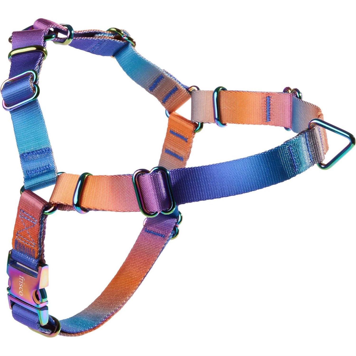 Frisco Outdoor Ombre Style Dog Harness