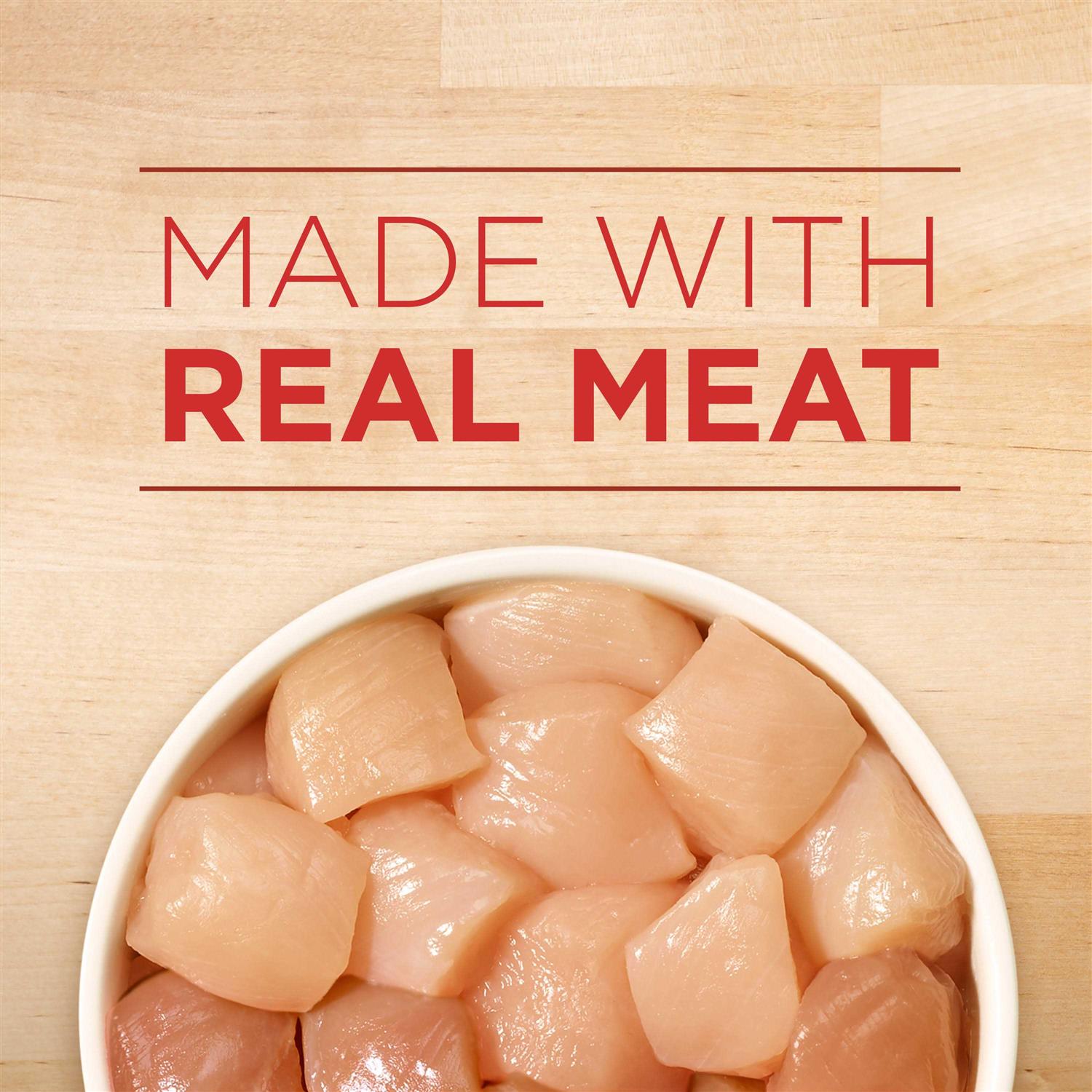 Purina ONE Tender Cuts in Gravy Chicken & Brown Rice Entrée Wet Dog Food