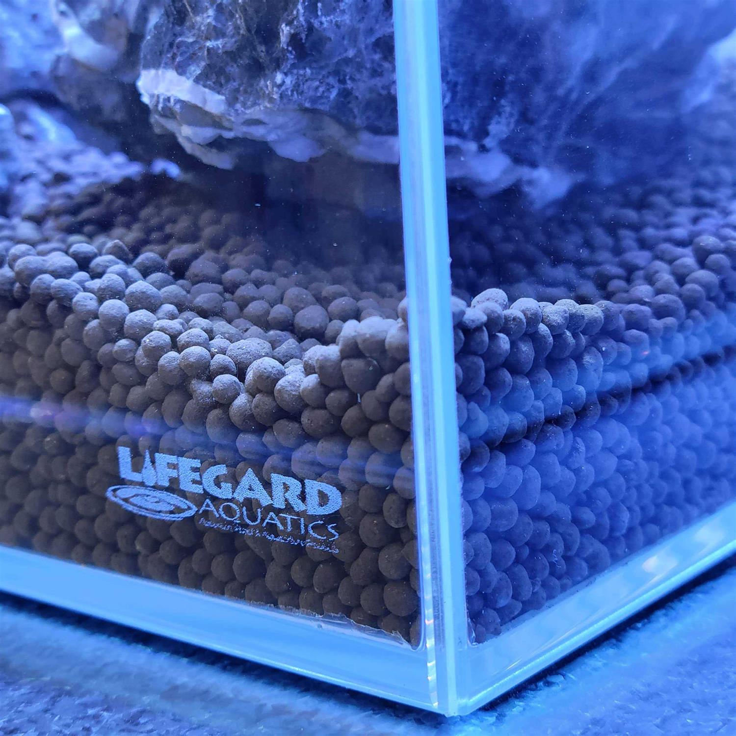 Lifegard Long Clear Glass Bookshelf Aquarium