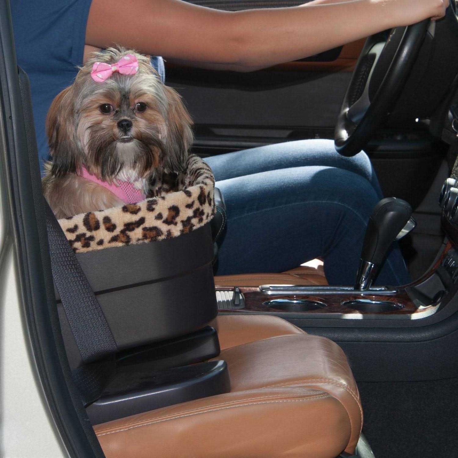 Pet Gear Bucket Booster Seat