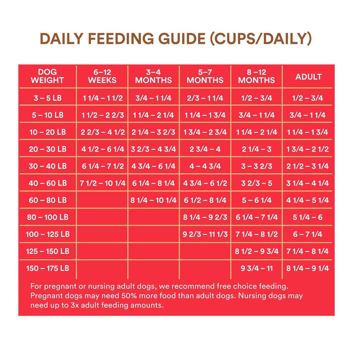 WholeHearted All Life Stages Beef and Brown Rice Recipe Dry Dog Food