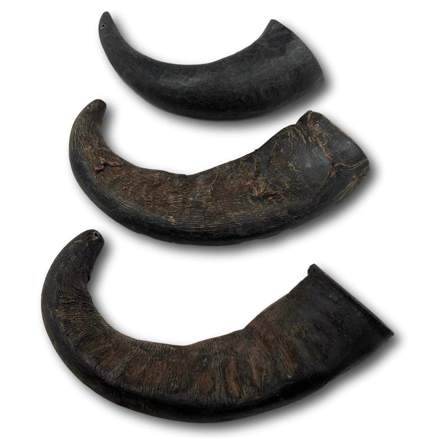 Top Dog Chews Natural Water Buffalo Horns Dog Treats