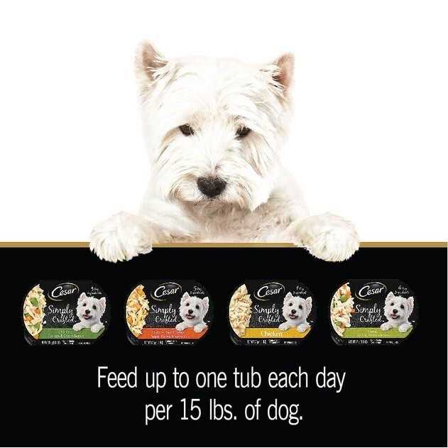 Cesar Wholesome Bowls Wet Dog Food