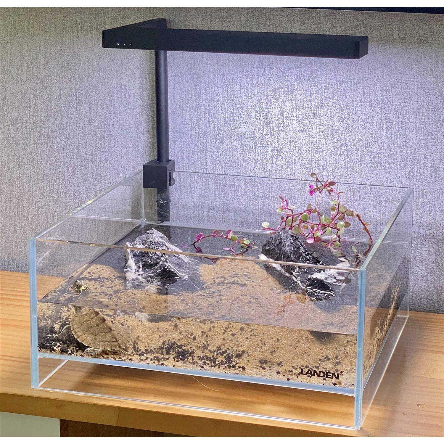 LANDEN Glass Air Aquarium Tank Multi-SceneLandscape Aquarium 1.6Gallon Rimless Low Iron Shallow Tank,W10.6×D10.6×H4.7 in 5mm Thickness