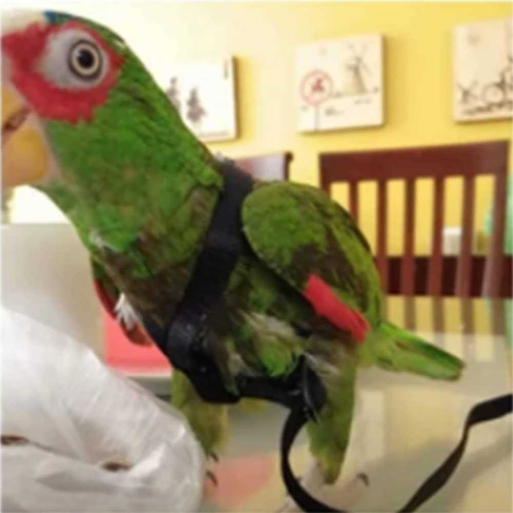 Anelekor Adjustable Birds Harness and Leash Parrot Harness Leash Training Supplies Pet Anti-bite Outdoor Flying Rope for Conures Budgerigar Lovebird
