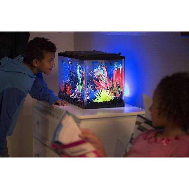 Glofish 10 Gallon Aquarium Kit