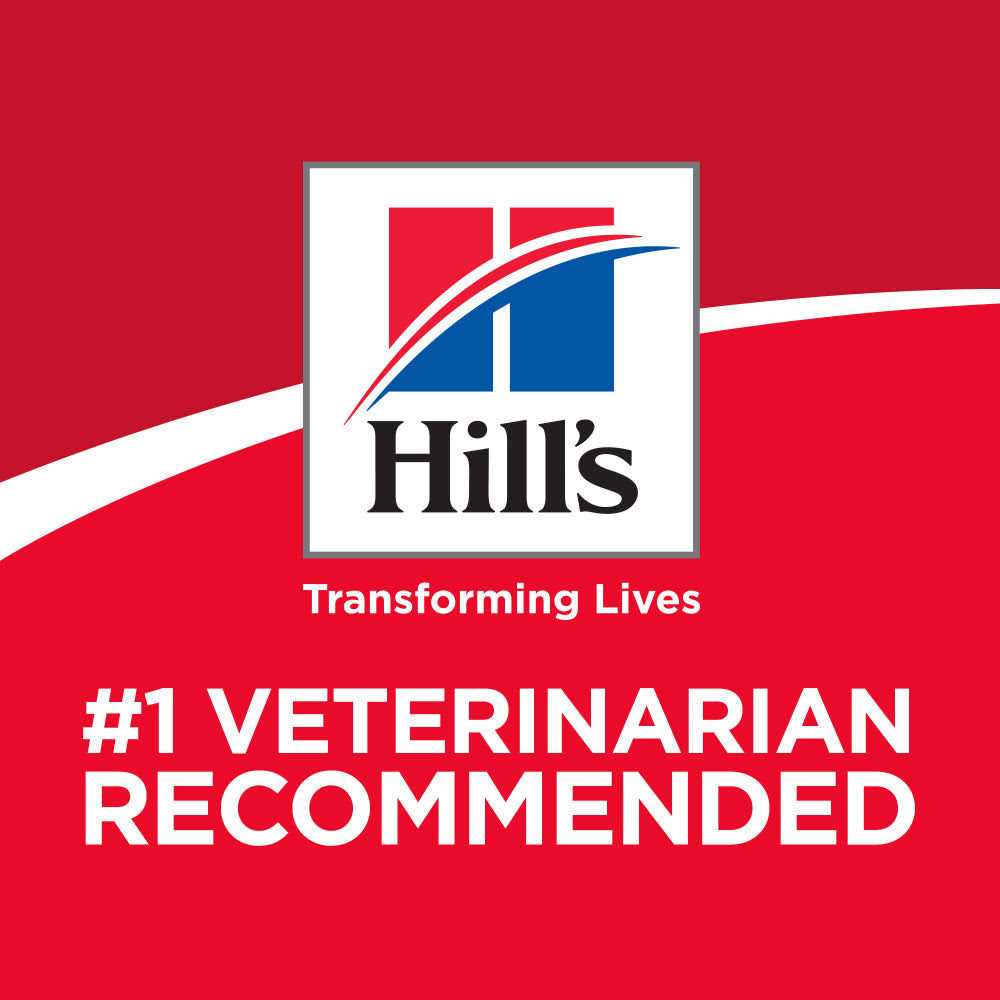 Hill’s Science Diet Adult Cat Dry Food Perfect Digestion Salmon