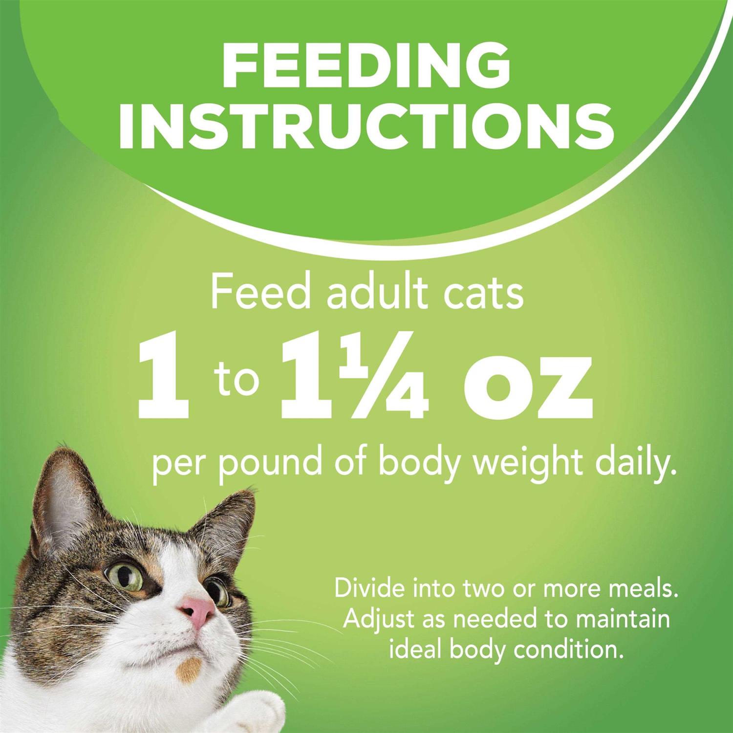 Purina Friskies Indoor Wet Cat Food