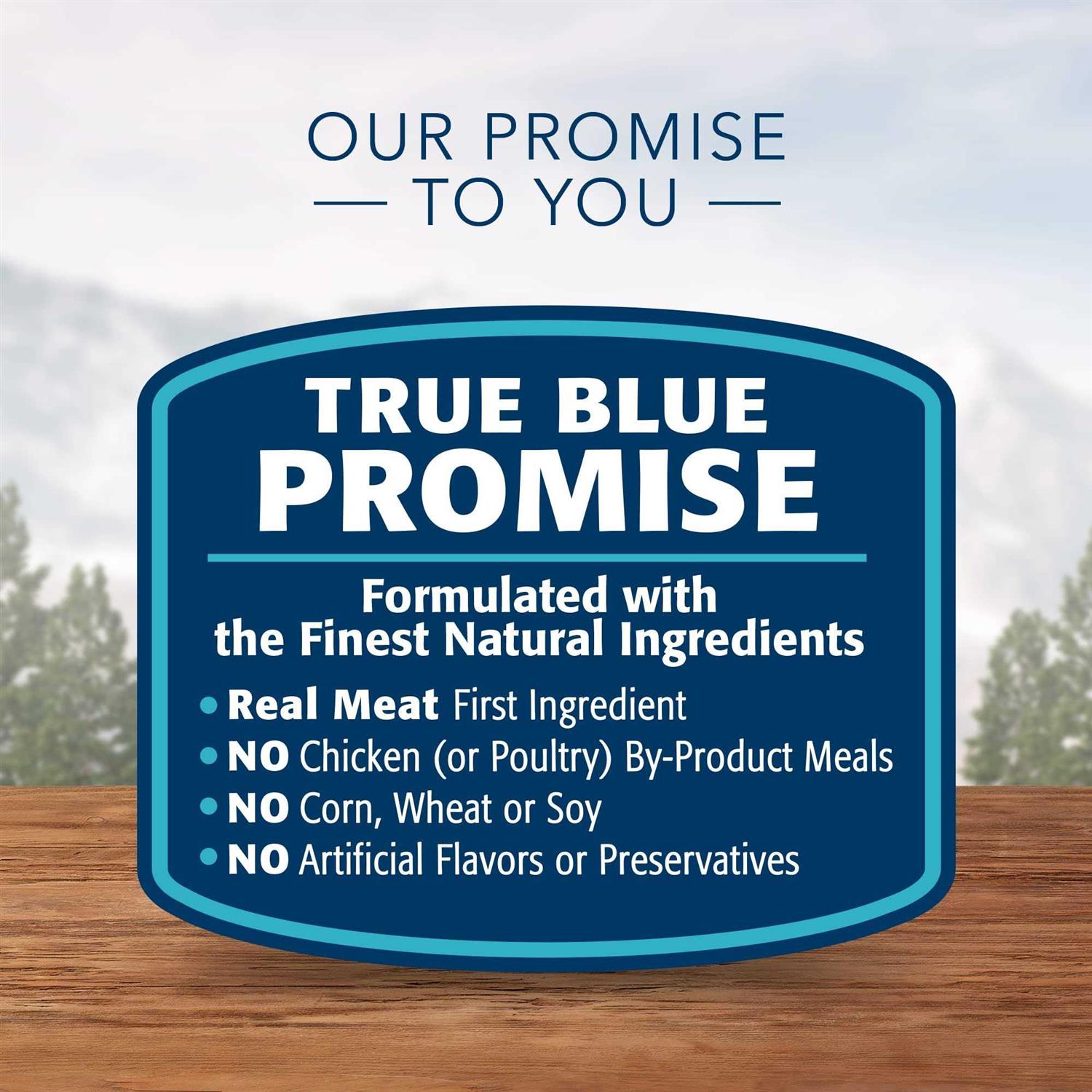 Blue Wilderness Indoor Hairball Control Cat Dry Food