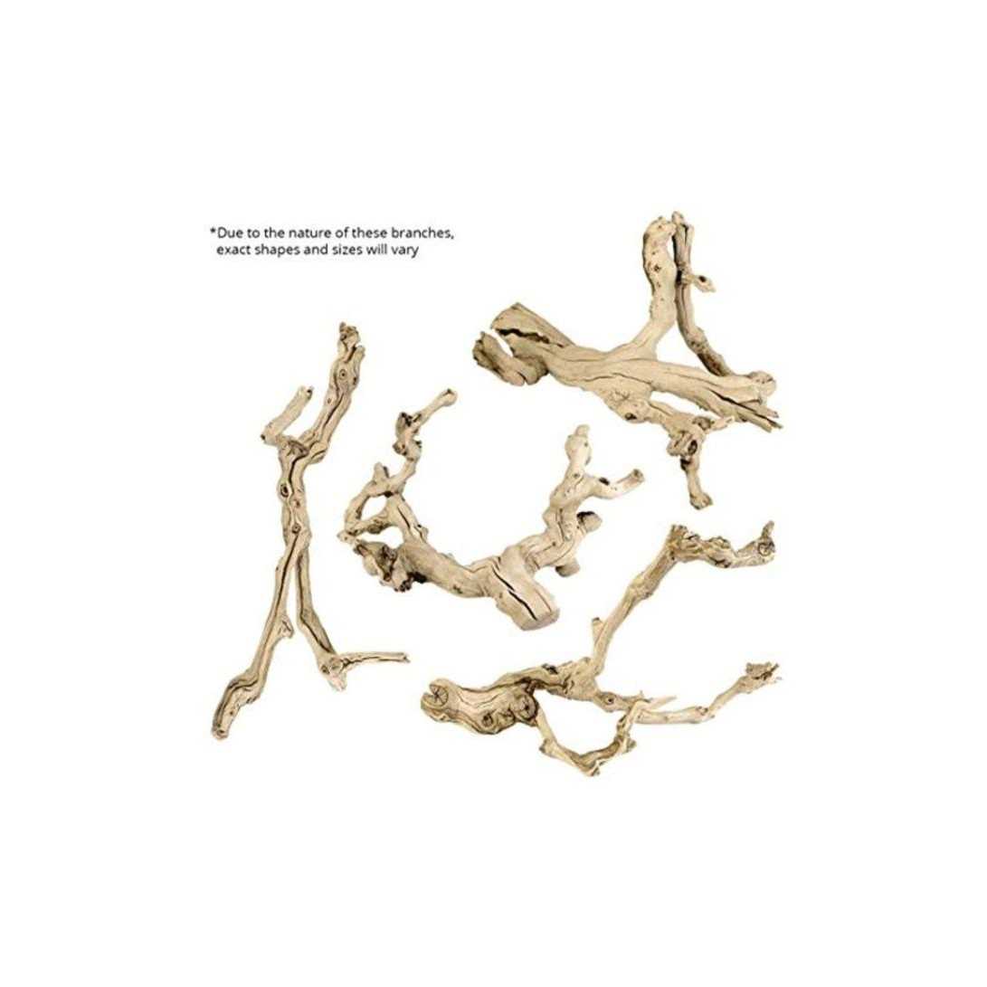 Koyal Wholesale Grapewood Branch