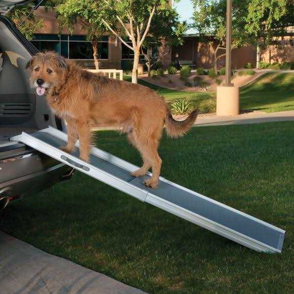 Top Paw Deluxe Telescoping Pet Ramp in Grey