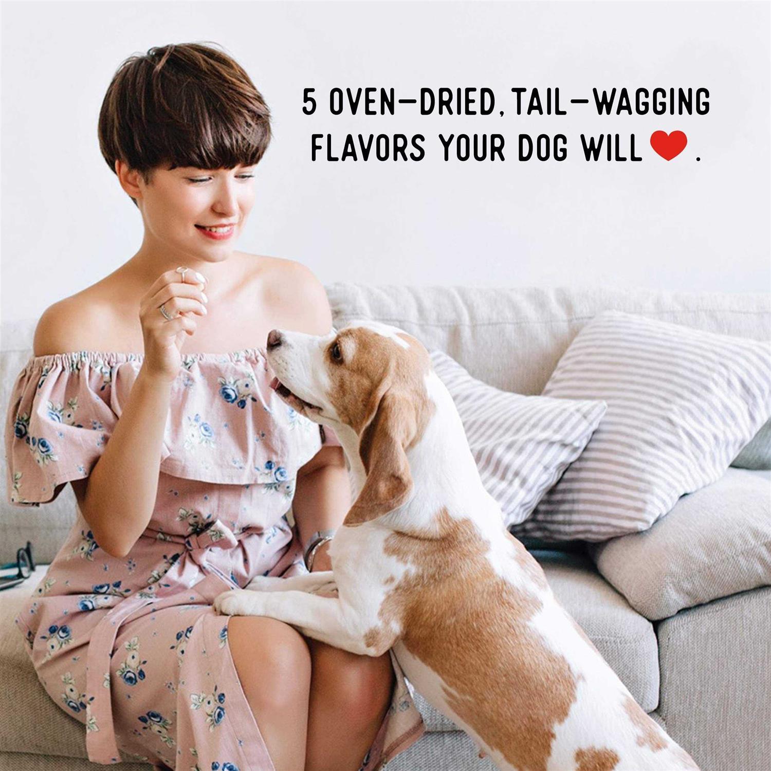 Farmland Traditions Dogs Love Beef Jerky Treats