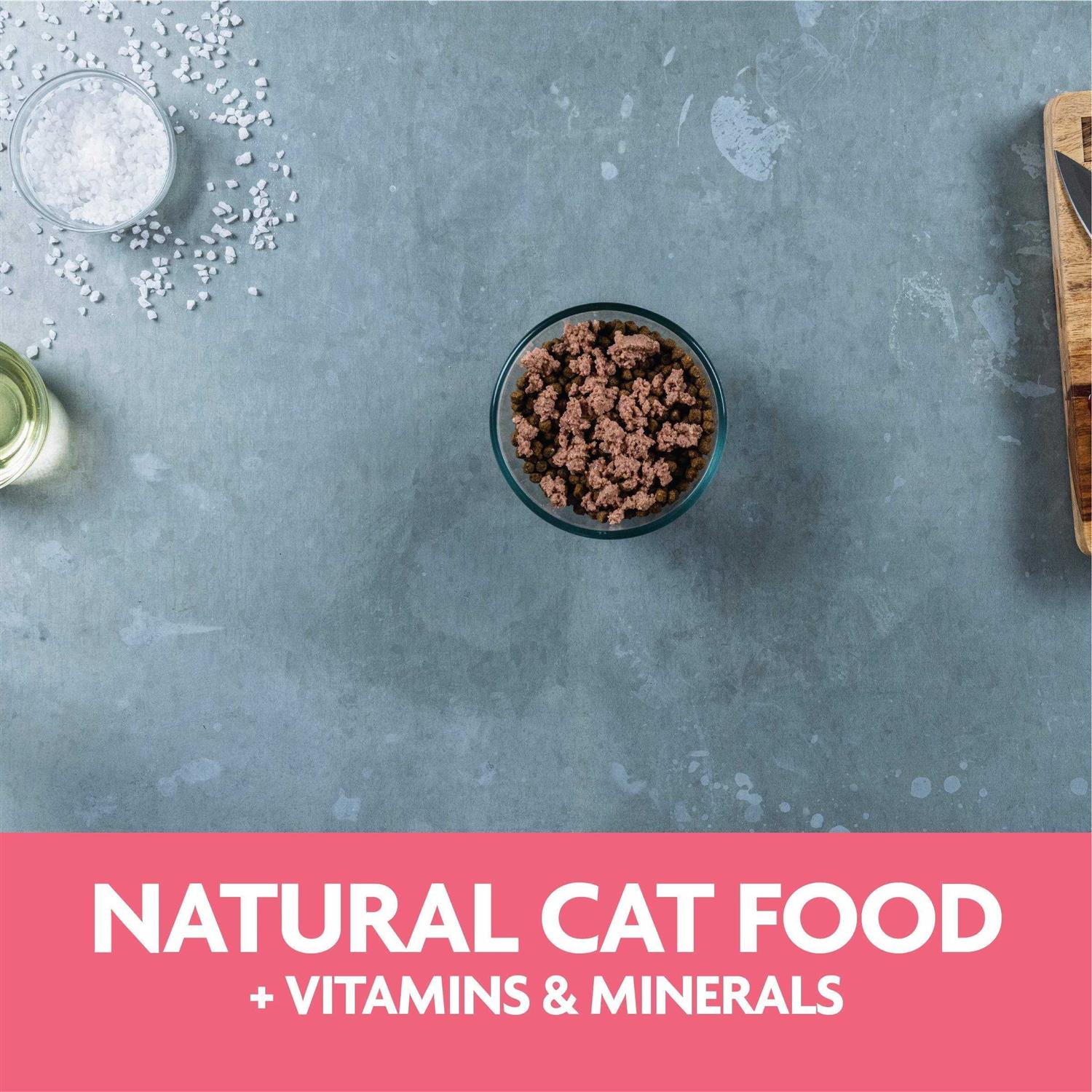 Evolve Classic Crafted Meals Liver Recipe Wet Cat Food