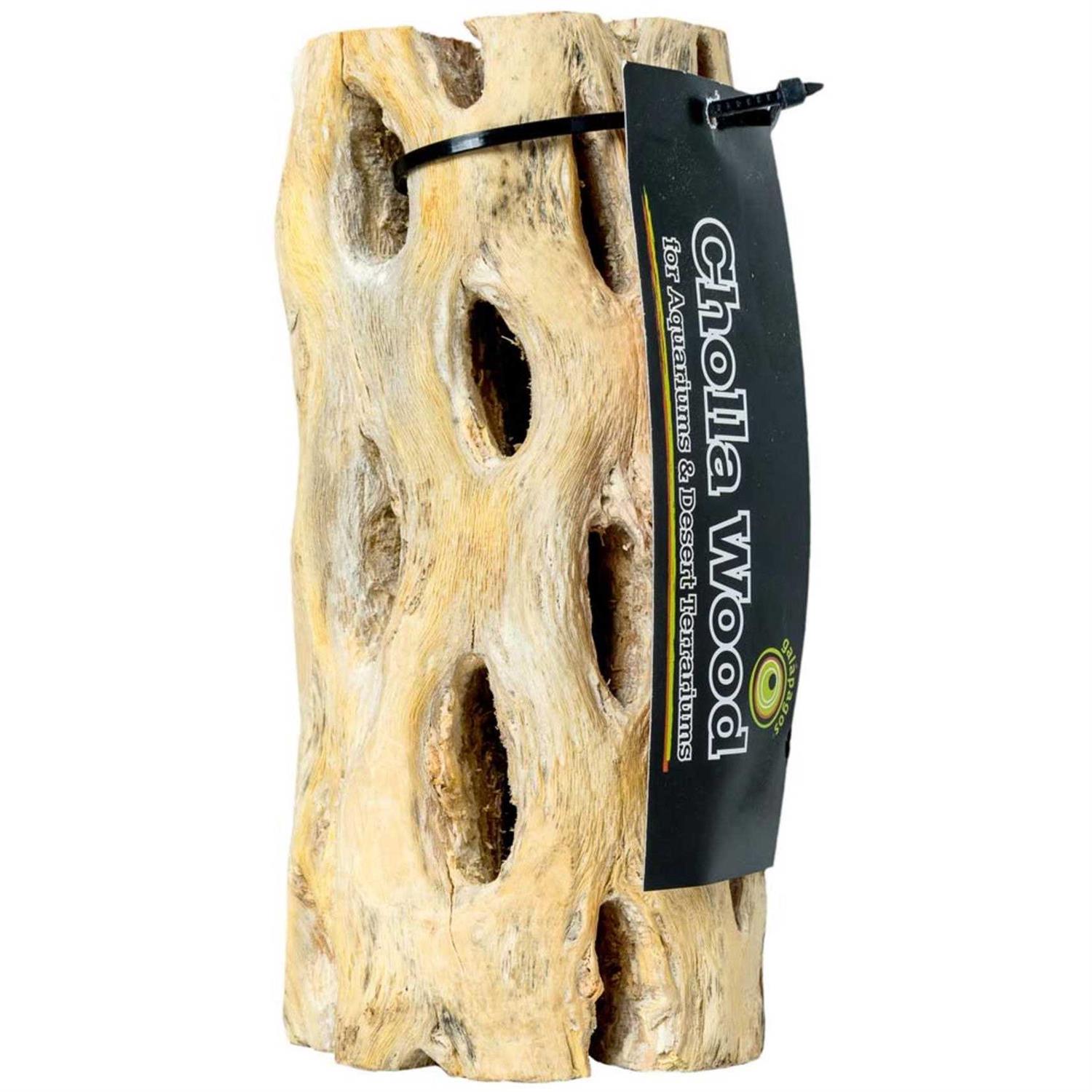 Galapagos Cholla Wood