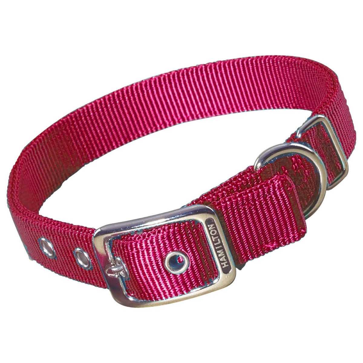 Hamilton Thick Nylon Dog Collar