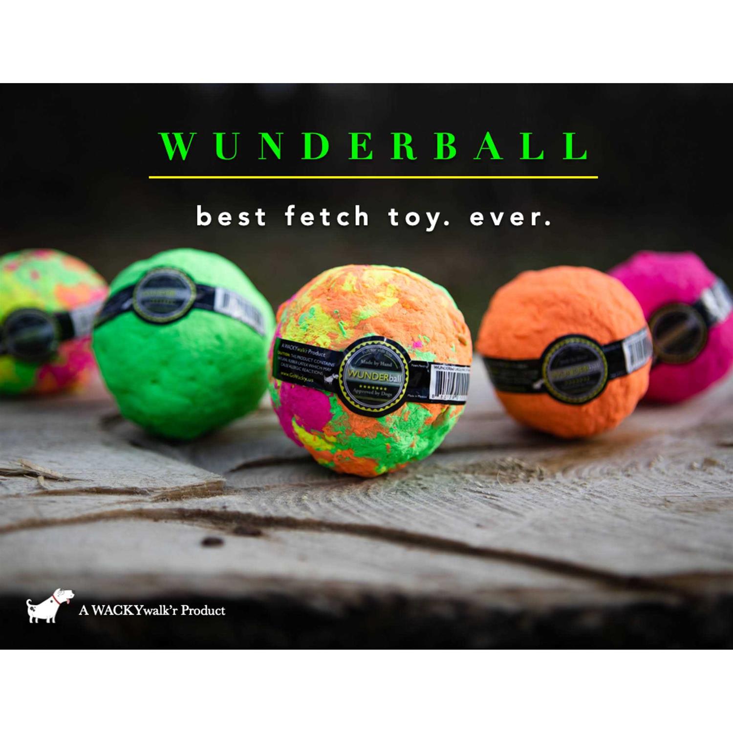 Wunderball Dog Toy