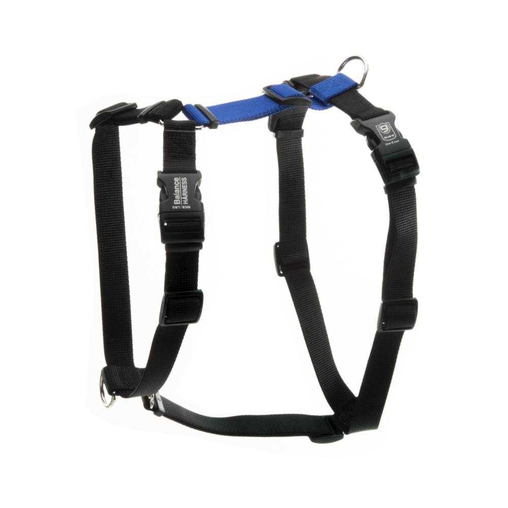 Blue-9 Buckle-Neck Balance Harness Fully Customizable Fit No-Pull Harness Ideal for Dog Training and Obedience