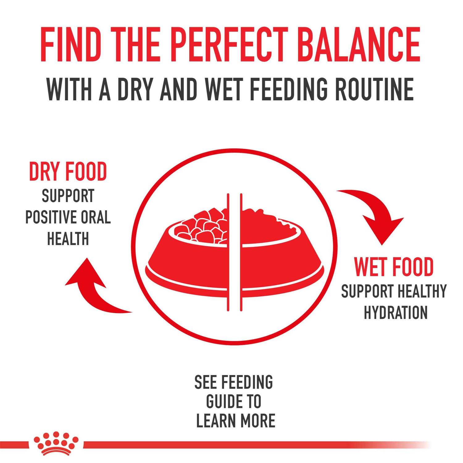 Royal Canin Felne Health Nutrition Special 33 Cat Dry Food