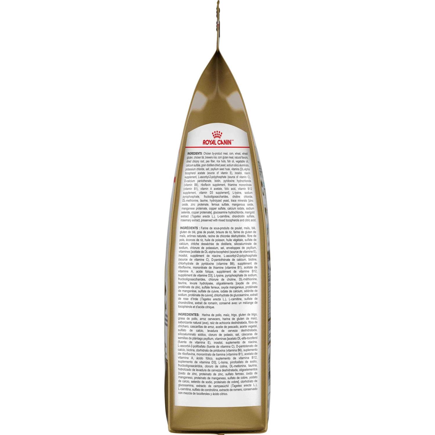 Royal Canin Ragdoll Adult Cat Food