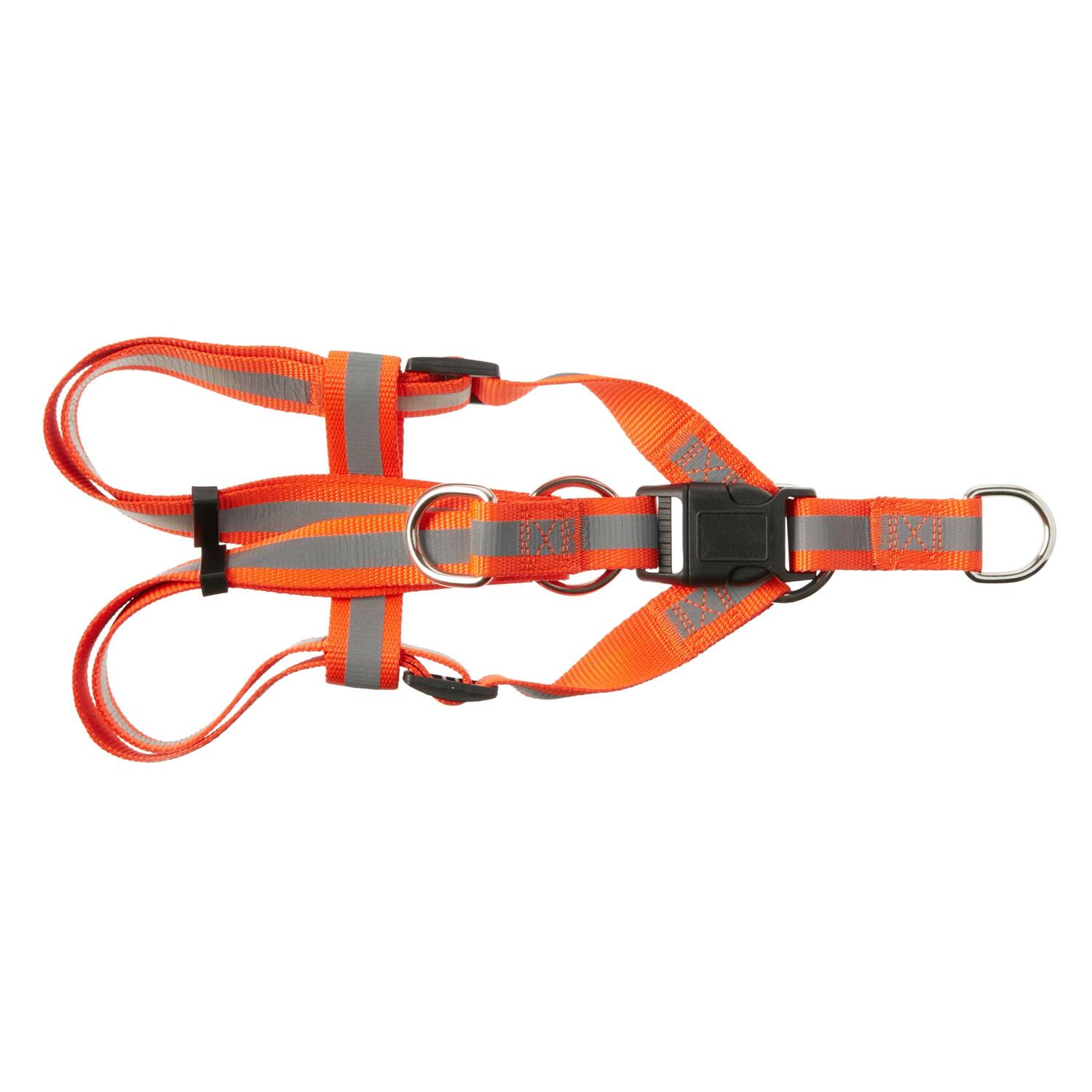 Vibrant Life Step-In Dog Harness
