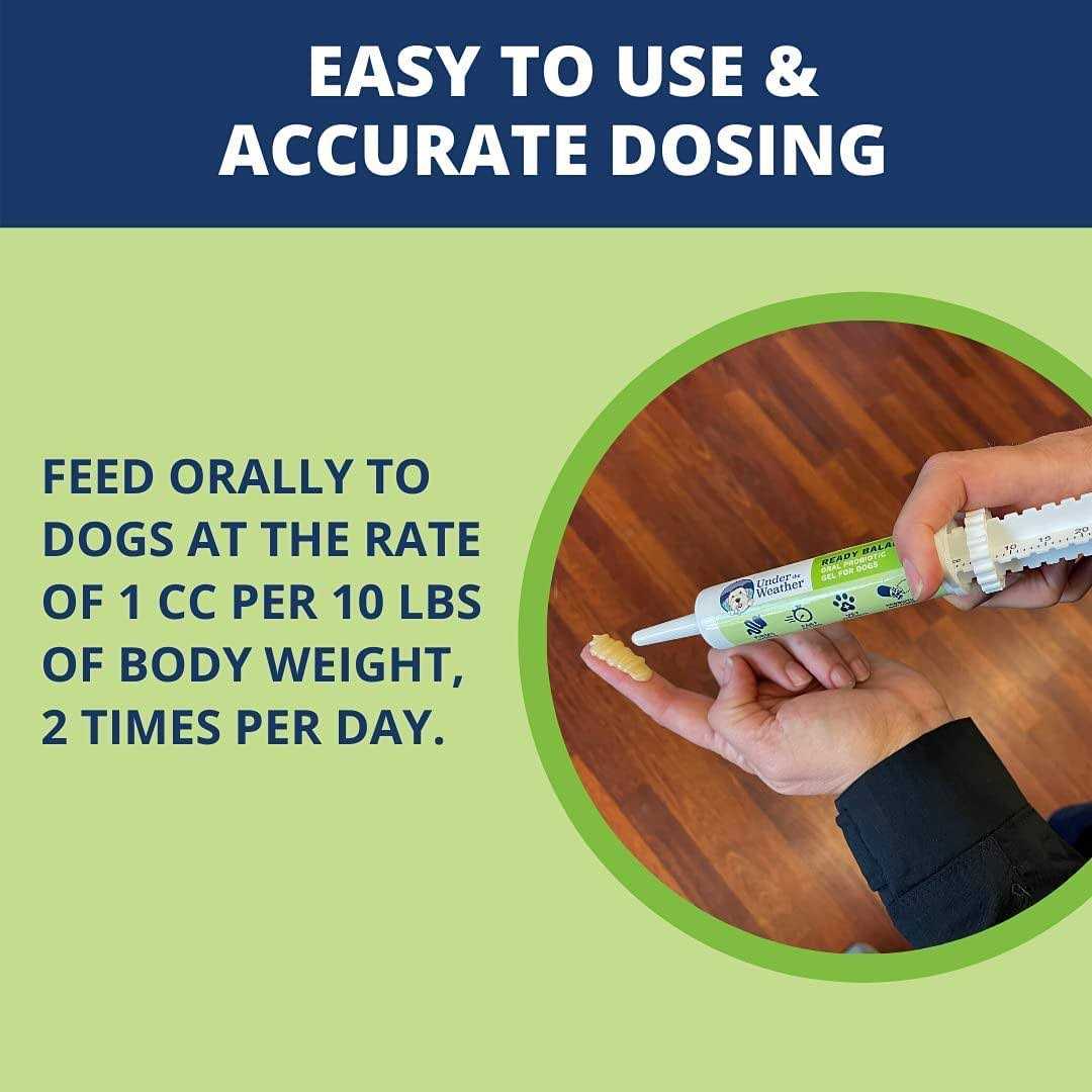 Under the Weather Ready Balance for Dogs