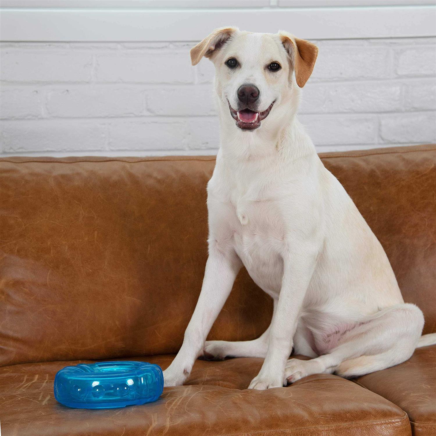 Petstages Orka Tire Dog Chew Toy