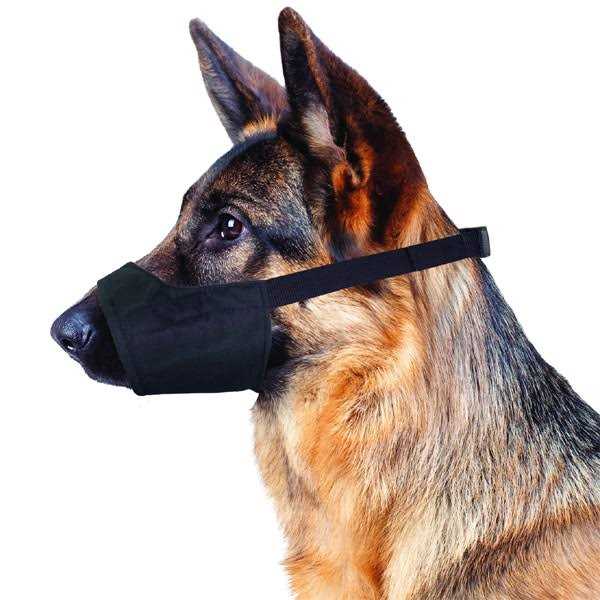 Four Paws Muzzle Quick Fit