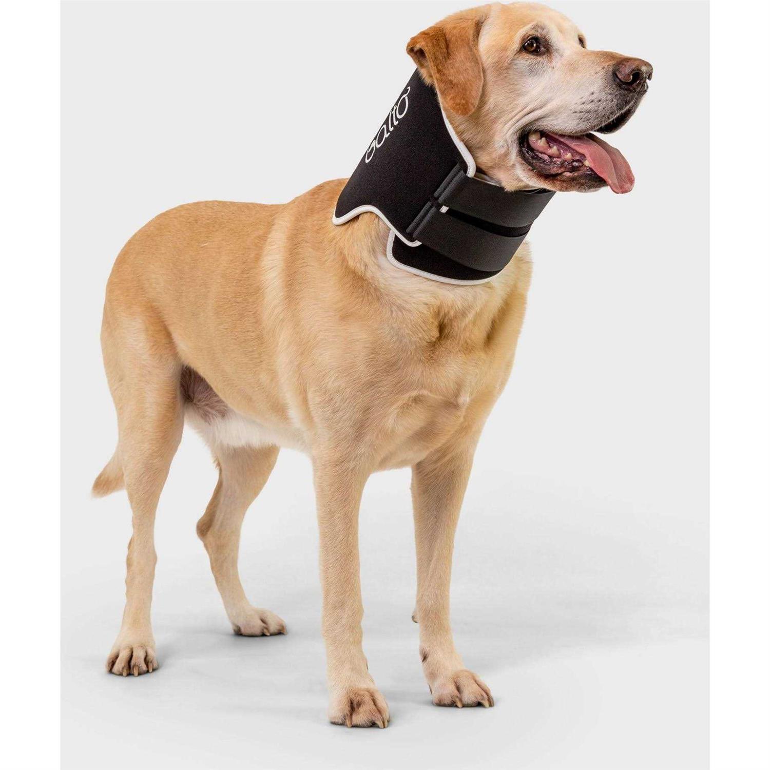 Balto Dog Cone Alternative E-Collar