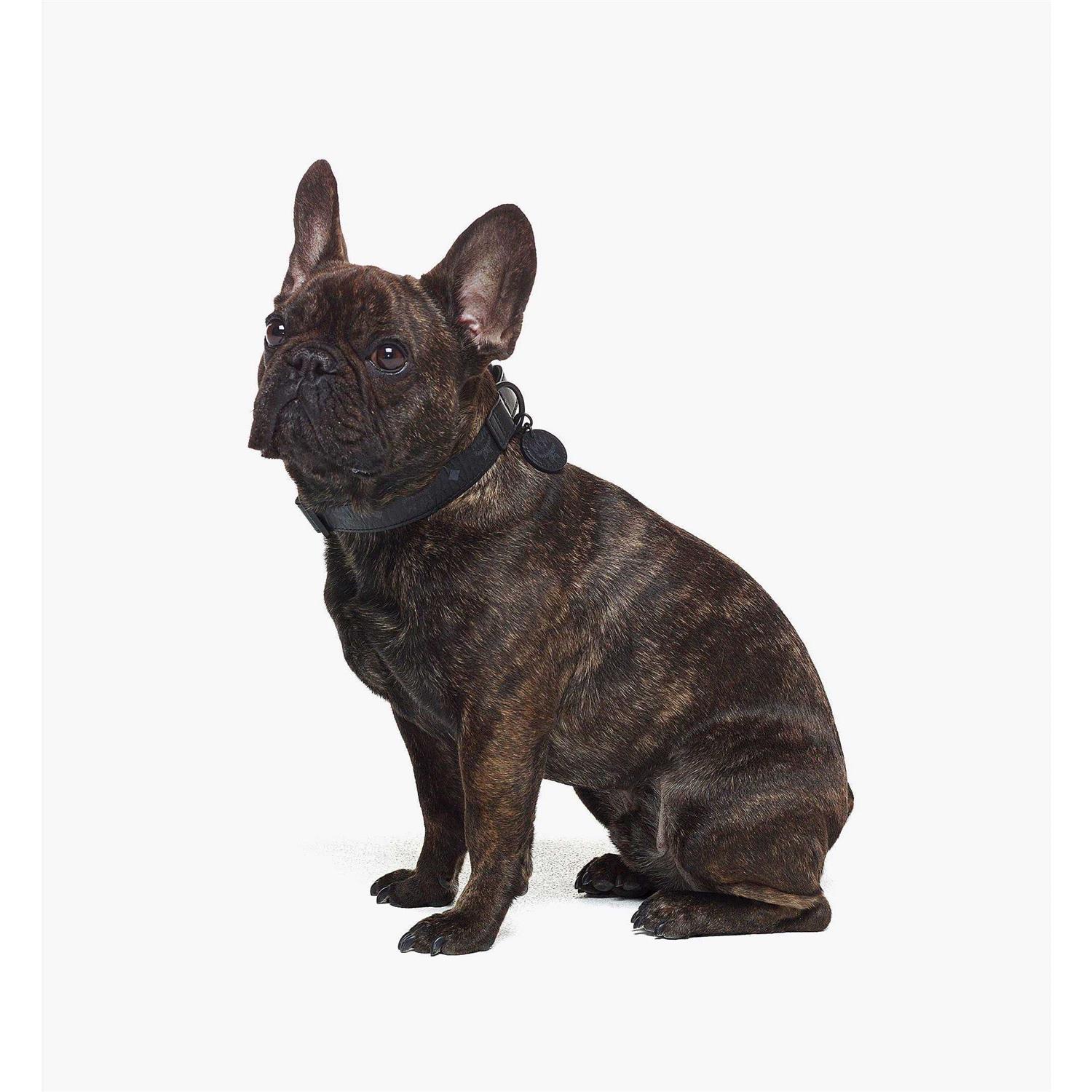 MCM Pet Collar in Visetos