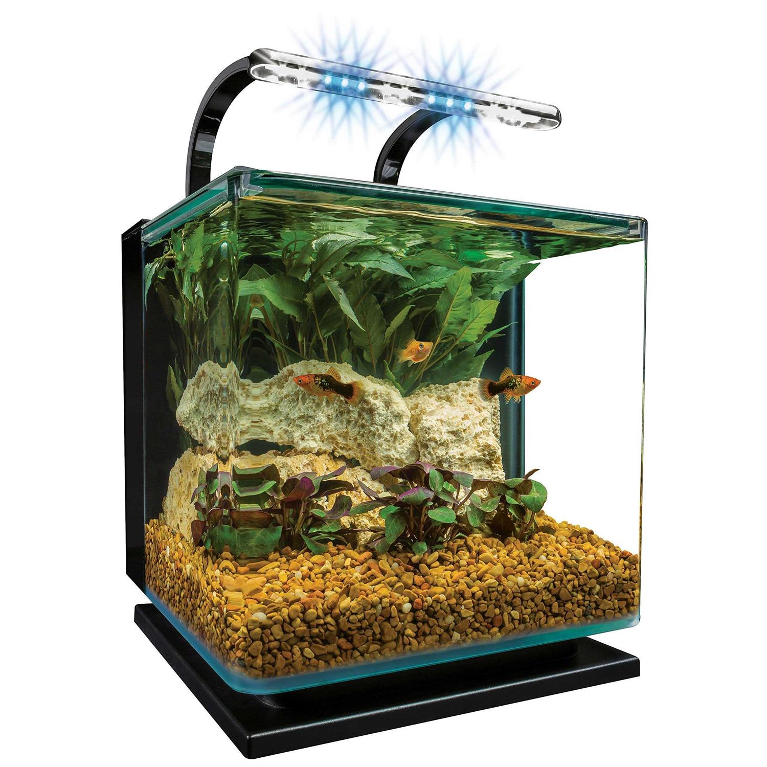 Marineland Contour 5 Gallon Kit