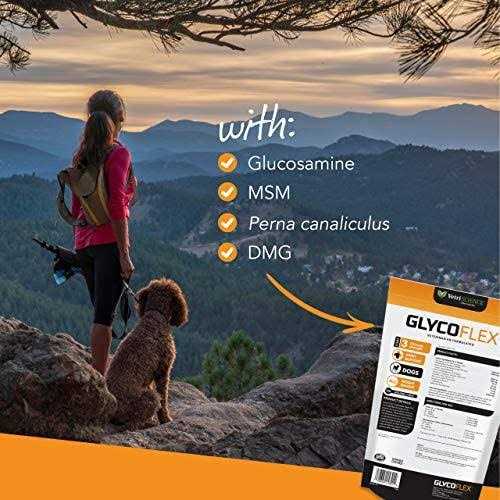 GlycoFlex 3 Dogs