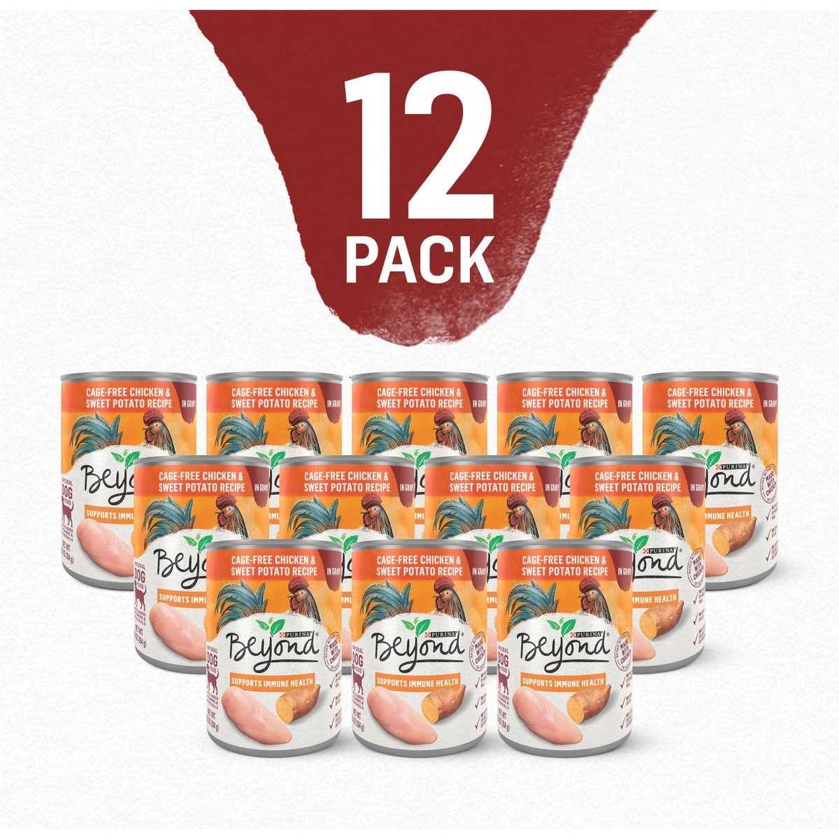 Purina Beyond Chicken and Sweet Potato in Gravy Grain Free Wet Dog Food