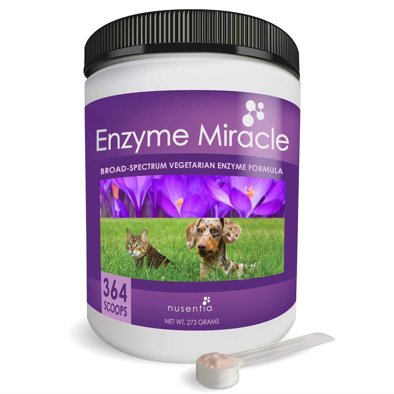 Enzyme Miracle Digestive