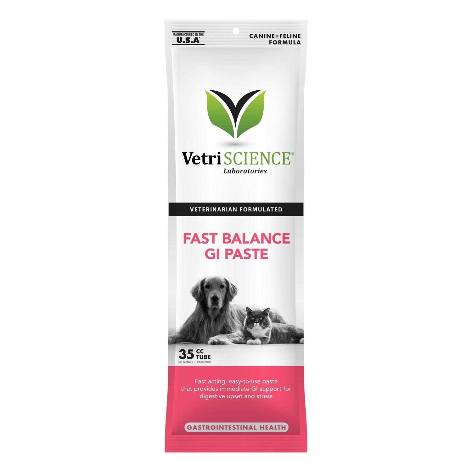 VetriScience Fast Balance G.I. Paste