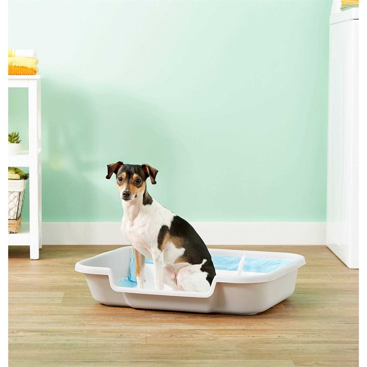 PuppyGoHere Dog Litter Box