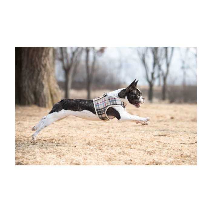 Puppia Junior Harness B