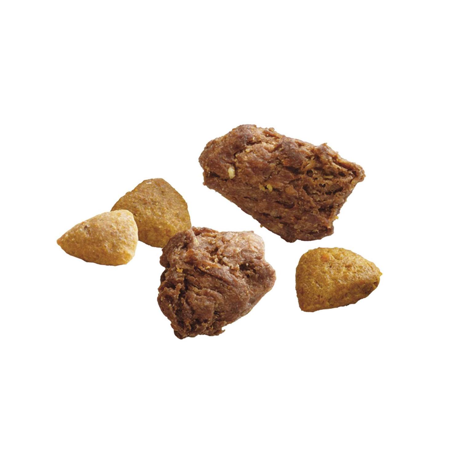 Purina ONE Real Turkey & Venison True Instinct Dry Dog Food