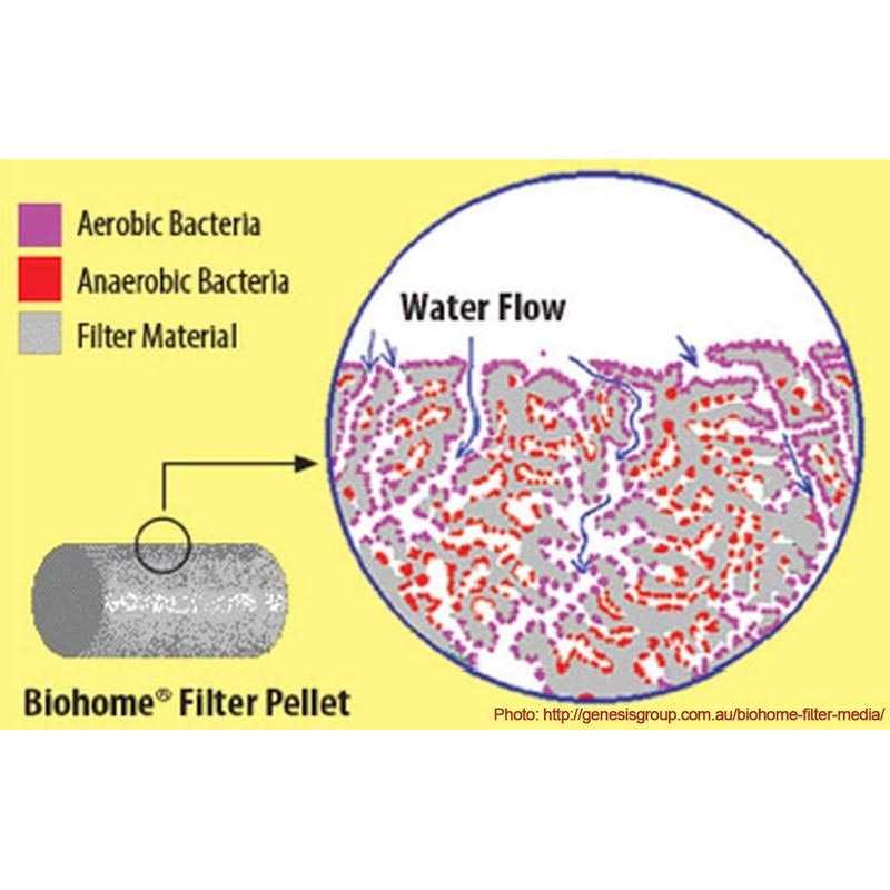 Biohome Ultimate Filter Media