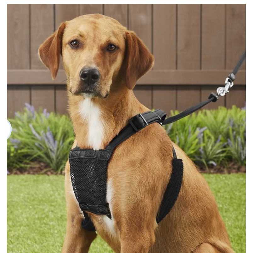 Sporn Stop-Pulling! Dog Harness
