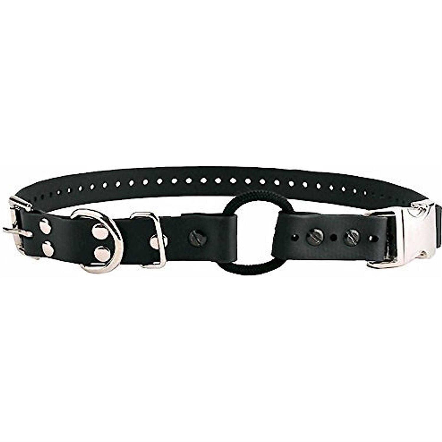Educator Quick Snap Bungee Collar