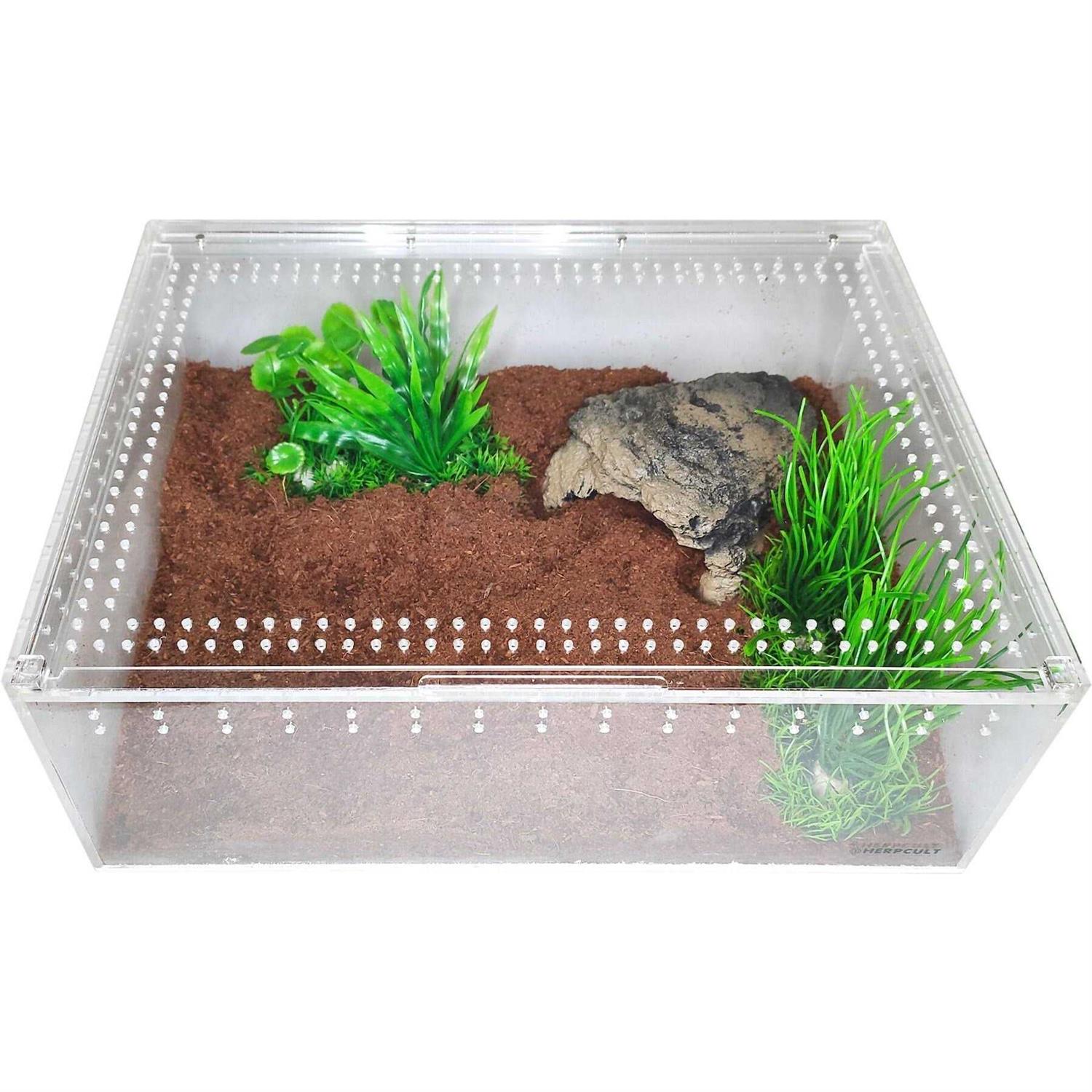 Herpcult Acrylic Insect & Reptile Terrarium
