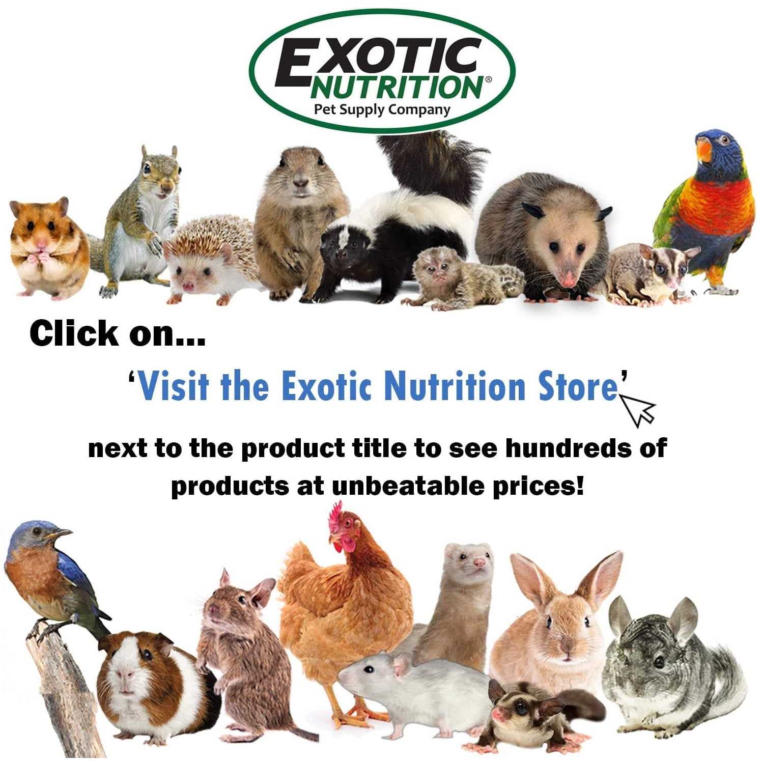 Exotic Nutrition Squirrel-Cal Calcium Supplement