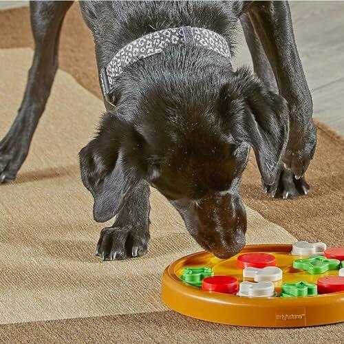 Brightkins Dog Pizza Treat Puzzle