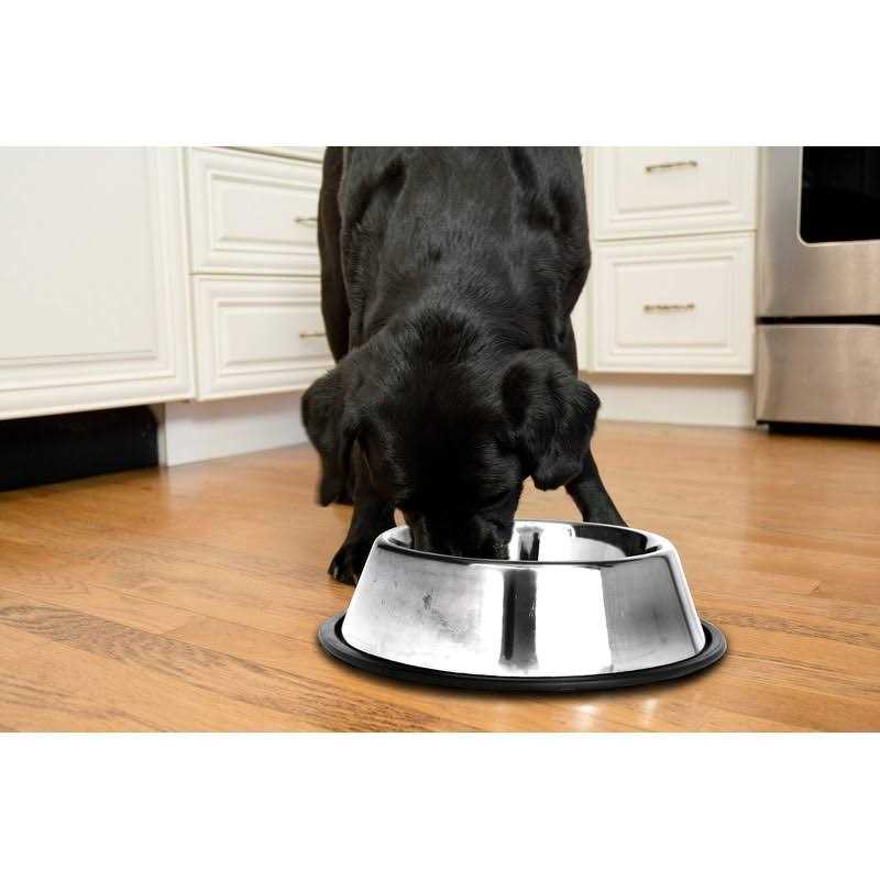 Iconic Pet 2 pack Stainless Steel Non-Skid Pet Bowl For Dog Or Cat