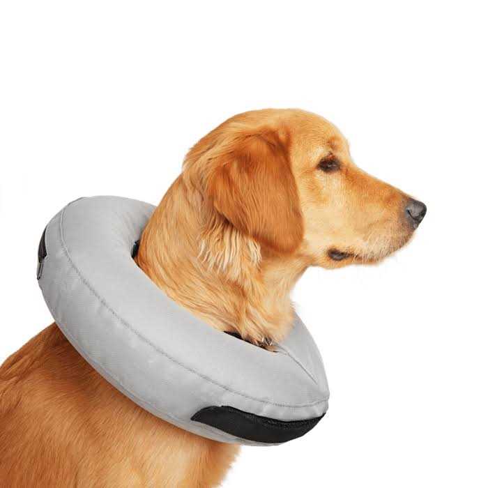Well & Good Inflatable Dog Collar