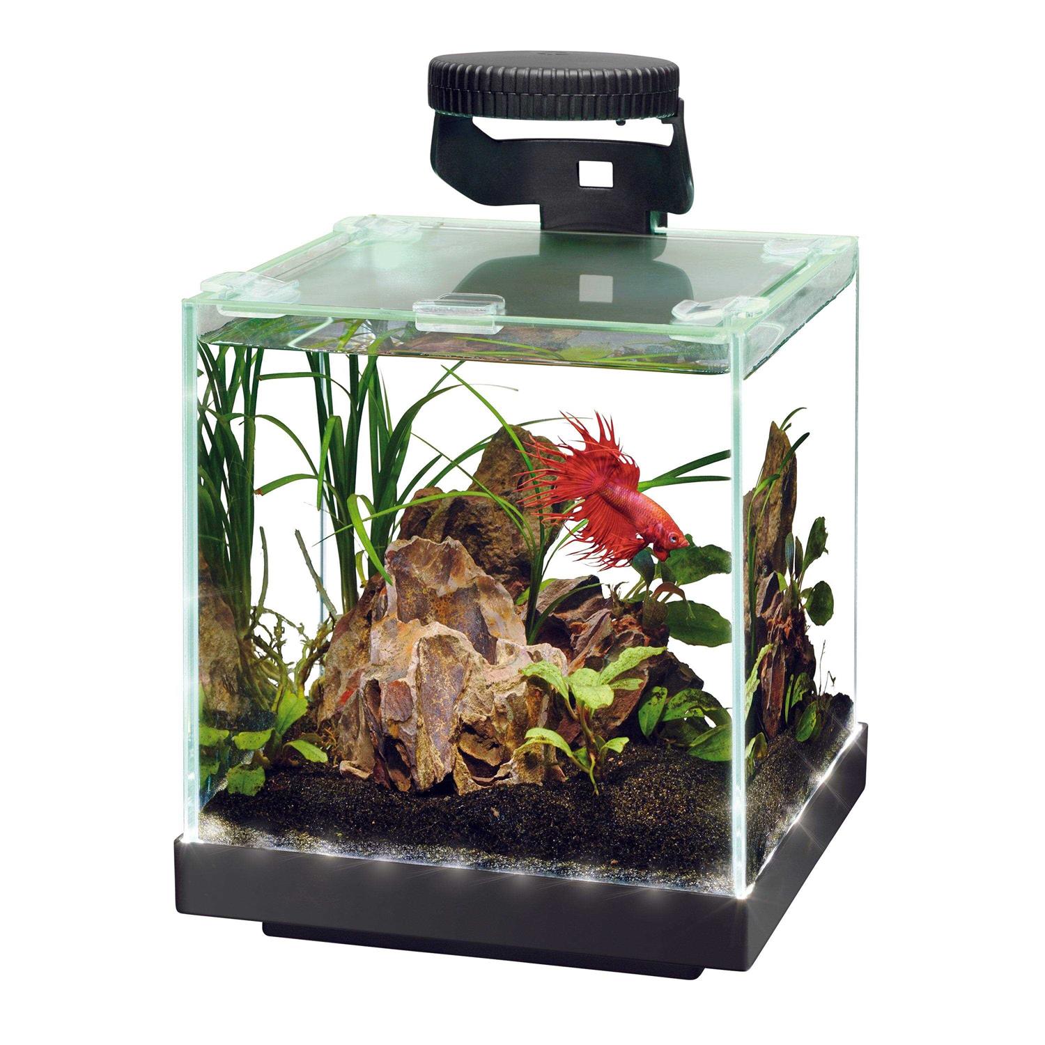 Aqueon Edgelit Cube Aquarium